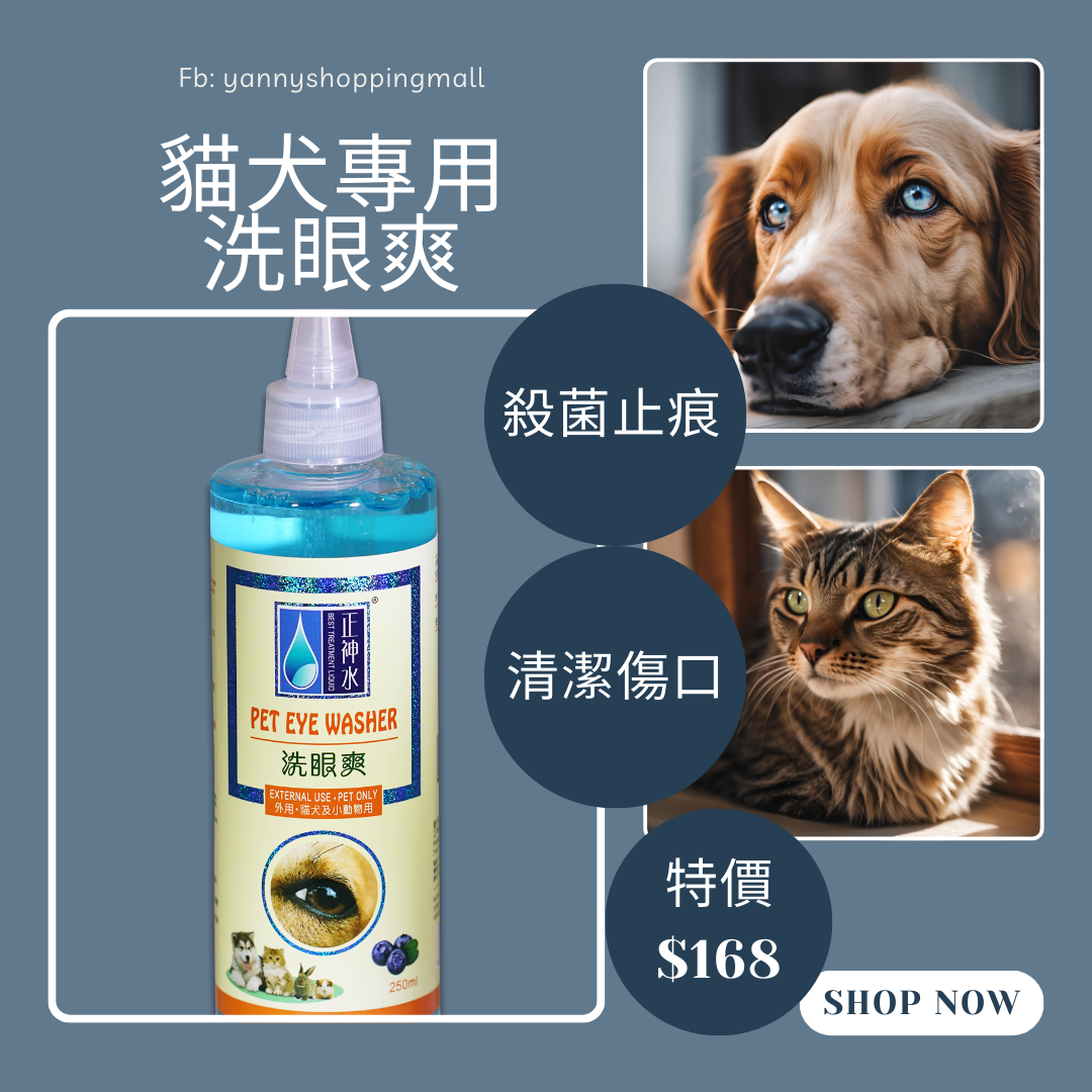 貓狗護眼療程。寵物眼藥水+洗眼爽