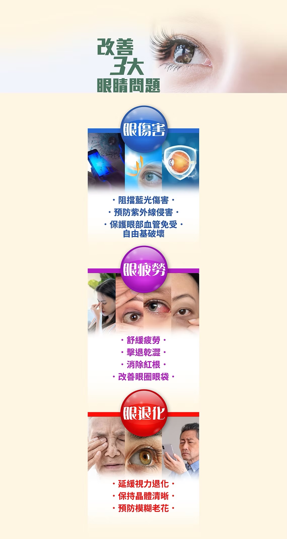 純中藥天然草本-目養護眼素-60粒