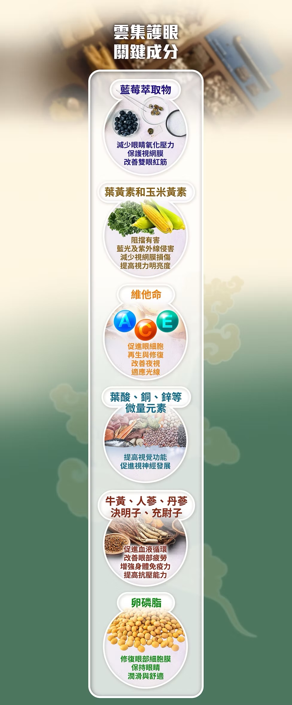 純中藥天然草本-目養護眼素-60粒